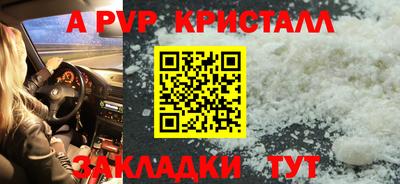 стаф Малгобек